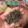 秦嶺野生墨旱蓮 新貨日曬干凈無(wú)硫一等品1000g