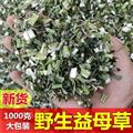 野生益母草新貨益母草茶中藥調(diào)理姨媽泡茶泡腳艾葉干貨坐月子