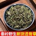 秦岭野生透骨草 新货切段日晒无硫泡水一等品500g