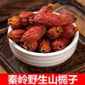 秦嶺野生梔子 新貨精選大個(gè)日曬無硫一等品500g