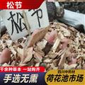 松节油松节