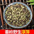 秦岭野生浮萍 紫背浮萍新货日晒干净无硫1000g