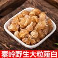 【新貨大個味濃】秦嶺野生薤白 野小蒜根 日曬無硫500g