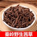 秦嶺道地野生茜草根 新貨主根日曬無硫1000g