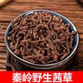 秦嶺道地野生茜草根 新貨主根日曬無硫500g