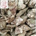 白芨 白芨?jìng)€(gè)子 正品三叉白芨?jìng)€(gè) 產(chǎn)地 云南省