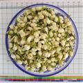  茉莉花 花茶级别 批发花草茶 产地 广西壮族自治区