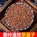 秦嶺山區(qū)道地萊菔子 正品白蘿卜子 炒萊菔子 新貨精選