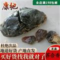 蘇合香 天然蘇合香 蘇合香符合國(guó)標(biāo) 產(chǎn)地 海外  專注藥材品質(zhì)9年時(shí)間