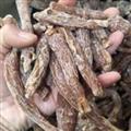 红参 精品红参低糖个 药材认准万信药业  产地 吉林省