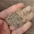 白芍 白芍末打粉料 產(chǎn)地 安徽省亳州市