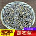 新疆薰衣草干花