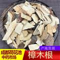 樟木根