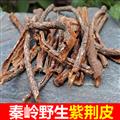 秦嶺道地野生紫荊皮 資金皮 新貨日曬無(wú)硫