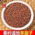 秦嶺山區(qū)道地萊菔子 正品白蘿卜子 炒萊菔子 新貨精選