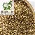炒麥芽 麥芽統貨 產地 山東省
