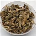 西番蓮 別稱-轉(zhuǎn)心蓮 西洋鞠 轉(zhuǎn)枝蓮 洋酸茄花 時(shí)計(jì)草