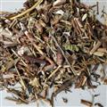 貫葉連翹 貫葉金絲桃 千層樓 小對(duì)葉草 趕山鞭