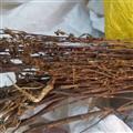 批发供应 藏茵陈 贾斗 孟根地格图 嘎瓦龙 实物拍照 量大从优