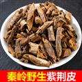 秦岭野生紫荆皮 紫荆木根皮 白林皮 川槿皮肉 红内消