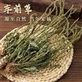 秦岭山区道地野生车前草 整颗车前草 新货精选日晒无硫