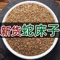 【正品】秦嶺山區(qū)道地野生蛇床子 新貨精選日曬無硫