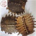 鱉甲 醋鱉甲統(tǒng)貨  無(wú)雜質(zhì)   產(chǎn)地 山東省