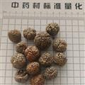 草豆蔻 選裝草寇 草叩 草扣 土砂仁 產(chǎn)地 廣西