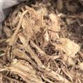 当归 无硫全当归0.2个筛 产地 甘肃省定西市陇西县