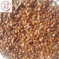 棗仁 進口棗仁 生棗仁  產(chǎn)地 海外 