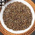 决明子 生决明子 过筛无杂质 颗粒饱满 地产药材 价格低