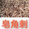 皂角刺 皂角刺片，天丁，天丁片，，機器切統(tǒng)片 產(chǎn)地 河南省