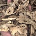 白术 白术统货 道地药材 实图拍摄 产地 安徽省