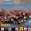秦嶺山區(qū)道地野生丹參 新貨精選日曬無硫500g