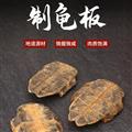 醋炙龟板  传统醋炙 中华草龟 龟下甲