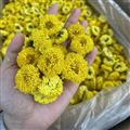 新輝藥業(yè)菊花 婺源皇菊 優(yōu)質(zhì)花茶 