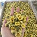 新辉药业菊花 杭菊 杭白菊