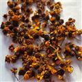 诺源药材行优质花茶雪菊  昆仑雪菊 杭菊 祁菊
