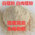 秦嶺道地白蔻粉 白豆蔻 新貨精選日曬現(xiàn)磨粉無硫500g