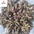 款冬花 款冬花統(tǒng)貨 冬花  產(chǎn)地 甘肅省 