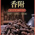 香附 深山半野生种植 高含量 手选一等品 诚信做人 良心做药