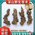 秦嶺山區(qū)道地野生蒼術 南蒼術 茅蒼術 新貨精選日曬無硫