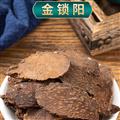 鎖陽 精選鎖陽大片 優(yōu)質(zhì)選貨 原產(chǎn)地價格 誠信經(jīng)營