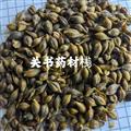 連翹 汽翹蒸連 精品 去柄連翹  果型飽滿  產地 山西省運城市萬榮縣