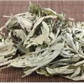 艾葉 精選 艾葉 產地批發(fā) 選好貨到百新