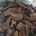 鎖陽 新貨鎖陽 產(chǎn)地 新疆維吾爾自治區(qū)
