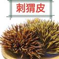 刺猬皮 精选刺猬皮 产地 山东省