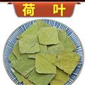 荷叶 精选荷叶  一手货源 产地批发 诚信做人 良心做药