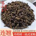 連翹 青連翹 無柄帶柄 統(tǒng) 產地 廣西壯族自治區(qū)