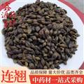 連翹 無柄連翹 貨好 價格低 統(tǒng) 產(chǎn)地 廣西壯族自治區(qū)